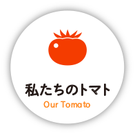 私たちのトマト
